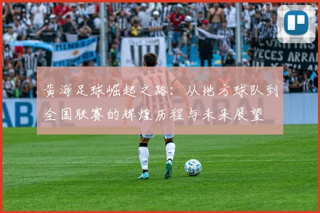 黄海足球崛起之路：从地方球队到全国联赛的辉煌历程与未来展望
