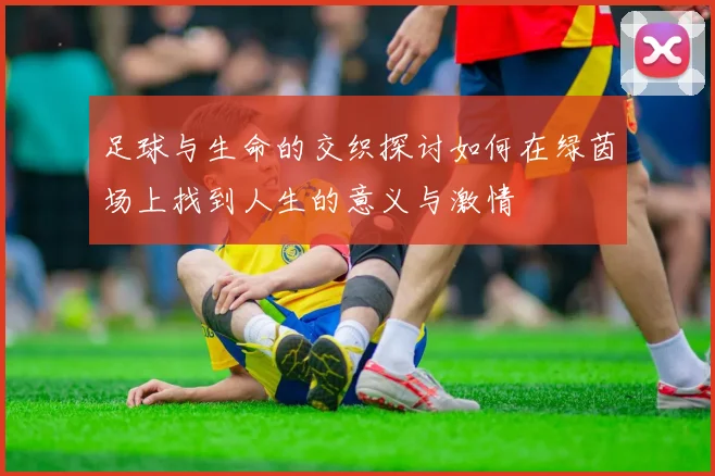 足球与生命的交织探讨如何在绿茵场上找到人生的意义与激情