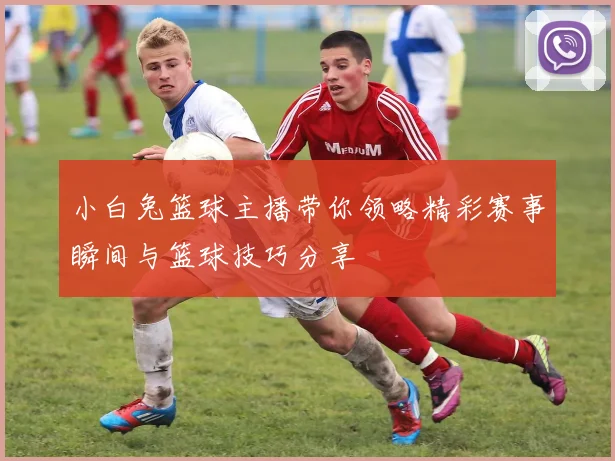 小白兔篮球主播带你领略精彩赛事瞬间与篮球技巧分享